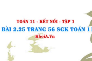 Bài 2.25 trang 56 SGK Toán 11 tập 1 Kết nối tri thức